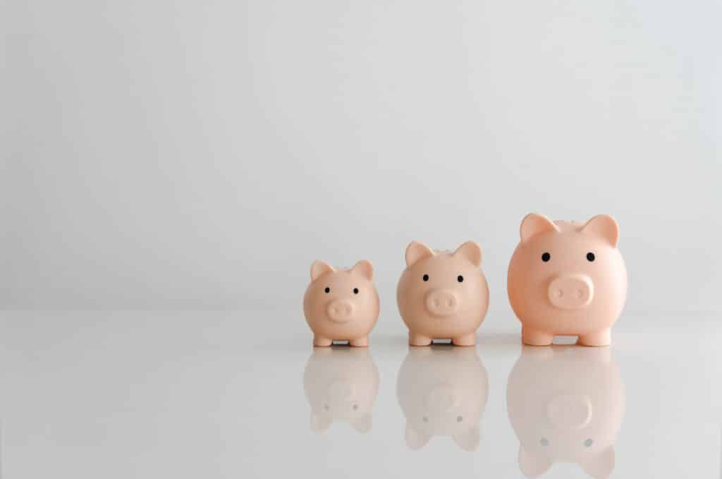 Your Essential Guide: How to Start Investing in New Zealand 4 Increase of Piggy banks